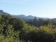 White Mountains
