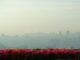 Seoul