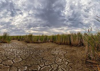 wetland