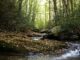 Rocky Fork