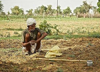 drought India