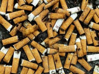 cigarette butts