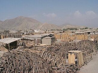 wood Kabul