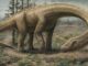 dinosaur