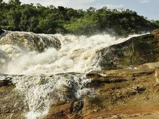 Murchison Falls