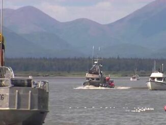 Bristol Bay