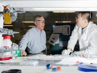 lab