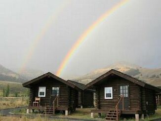 cabins