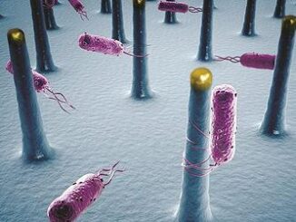 nanowires