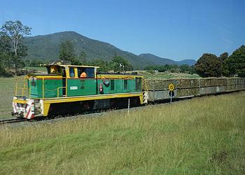 sugar cane train