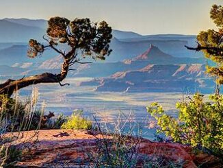 Bears Ears