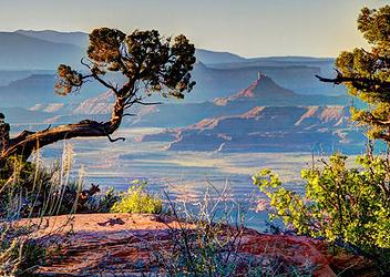 Bears Ears