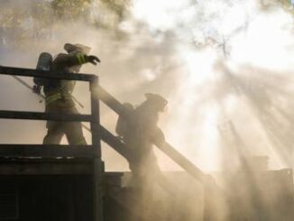 firefighters