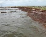 Deepwater Horizon Oil Spill Erodes Louisiana Shoreline