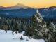 Oregon