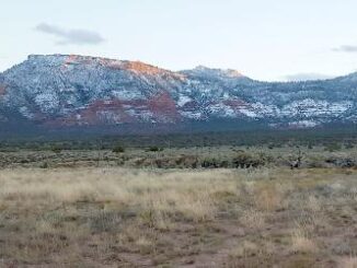 uranium mine site