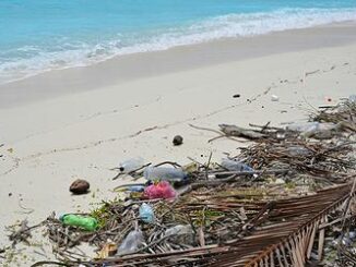 plastic