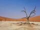 drought