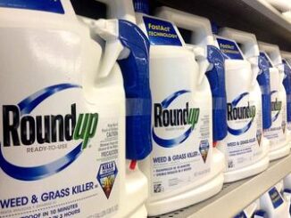 Roundup