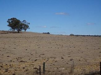 drought