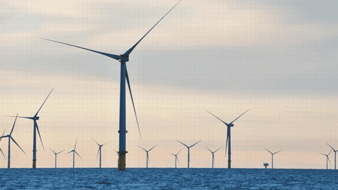 Global Wind Energy Council vice chair: 'Brazil is accelerating