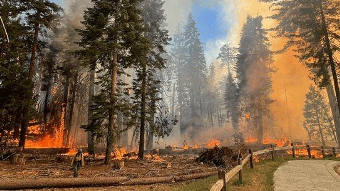 wildfire Yosemite