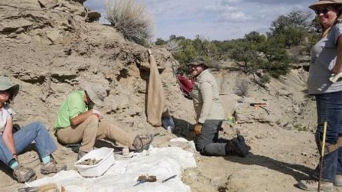 fossil site national monument