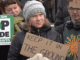 Thunberg Davos march