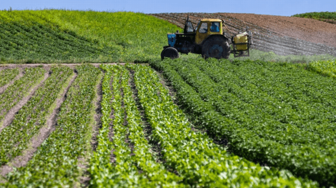 Ukraine farm