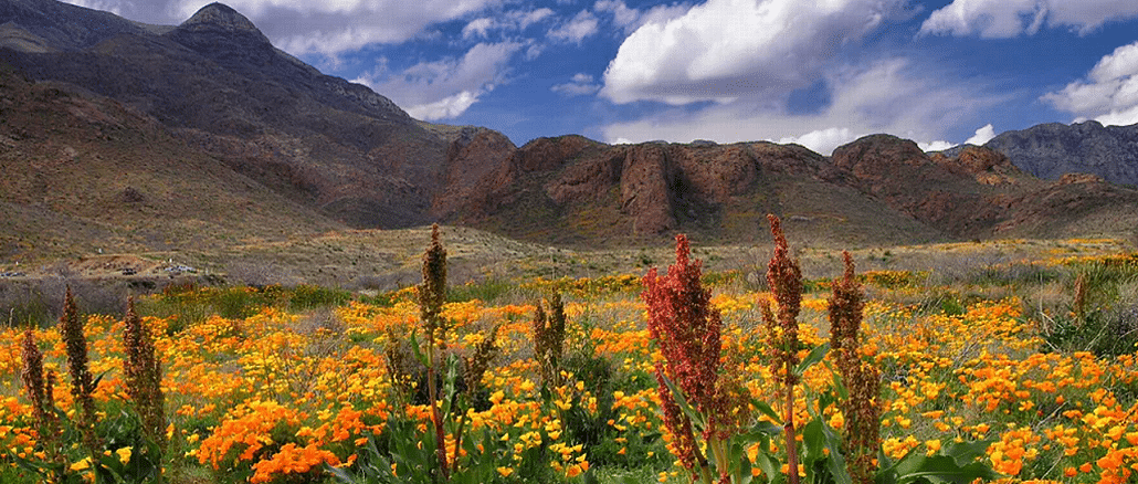 Texas national monument