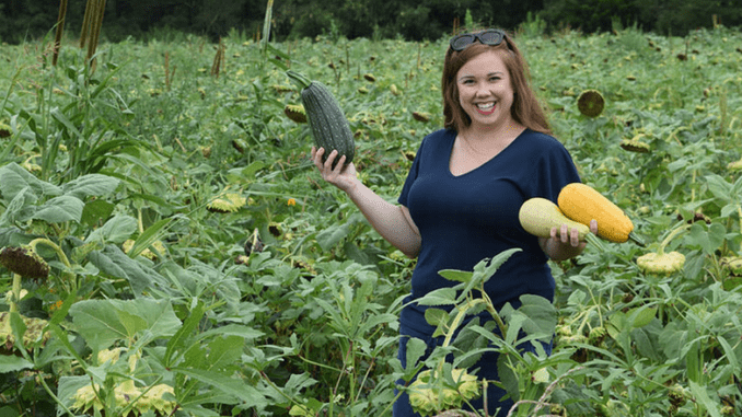 woman picking squash