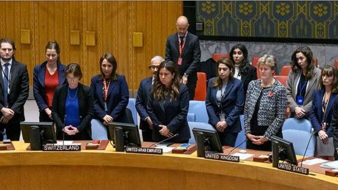 UN Security Council stands