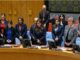 UN Security Council stands