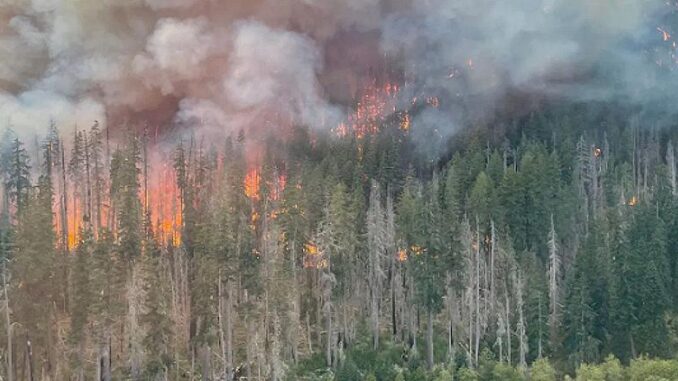 wildfire Washington State, USA