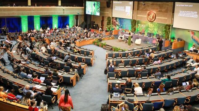 UN Environment Assembly