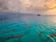 sharks, sunset, Maldives