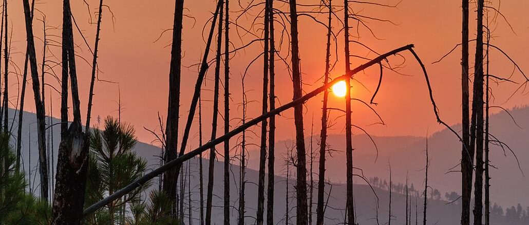 wildfire smoke, Montana