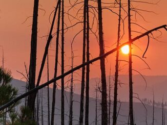 wildfire smoke, Montana