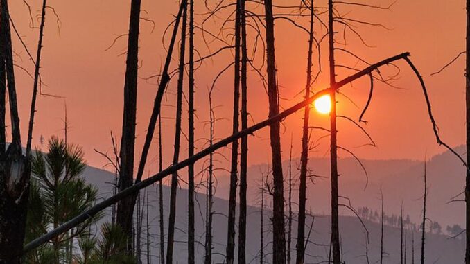 wildfire smoke, Montana