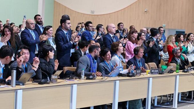 COP29 delegates applaud climate finance