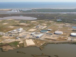 Strategic Petroleum Reserve, Texas