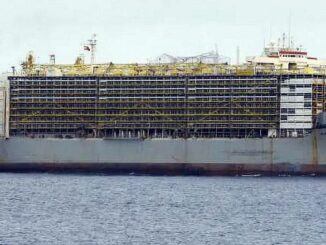Live animal ship