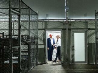 President Trump Alligator Alcatraz