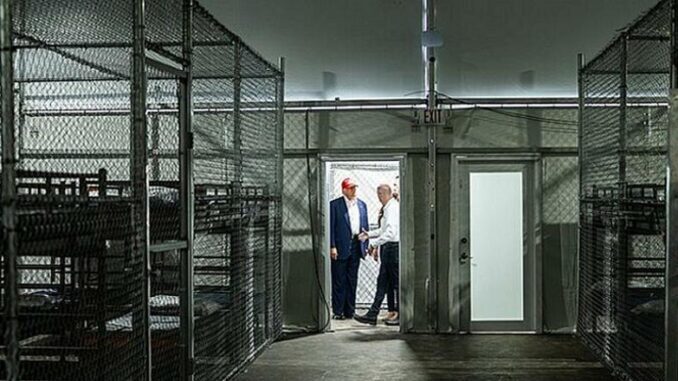 President Trump Alligator Alcatraz