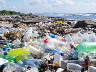 plastic trash on beach