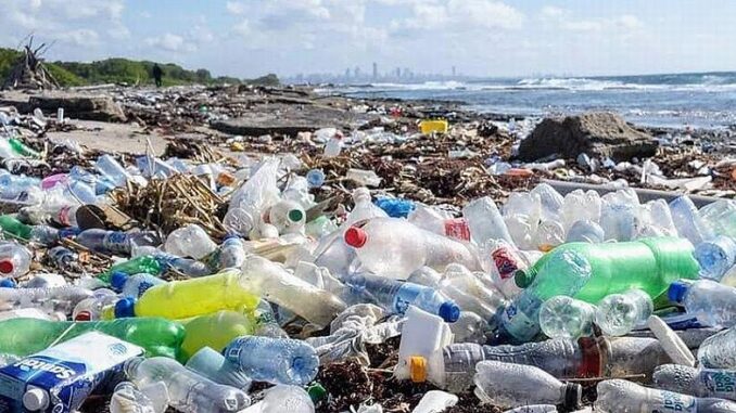 plastic trash on beach