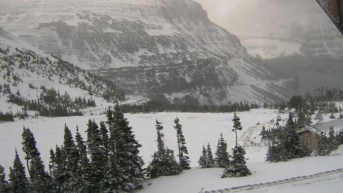 GlacierNationalParkLoganPass Glacier National Park