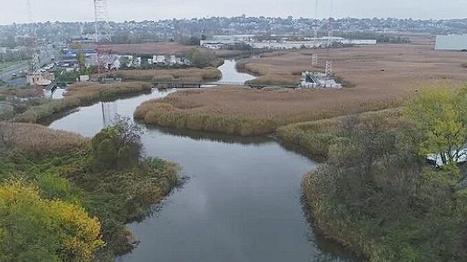 NewJerseyBerryCreek Berry's Creek Study Area